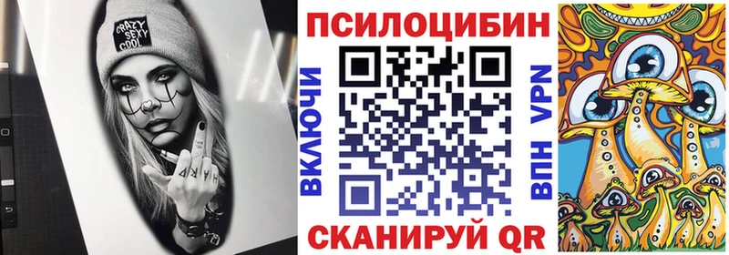 Галлюциногенные грибы Psilocybine cubensis  как найти закладки  Медвежьегорск 